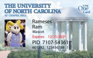 Sample One Card for Rameses Ram