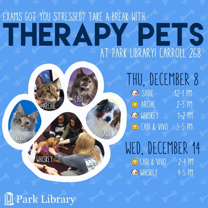 Therapy Pets at Park Library