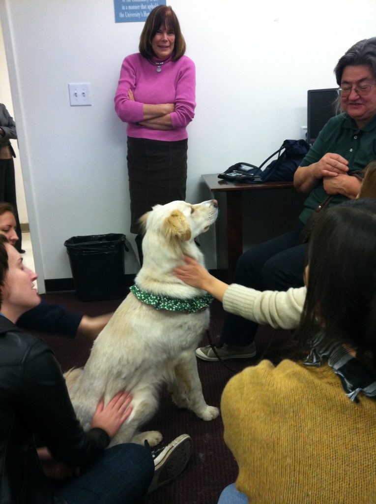 Teddy sits in the middle of an adoring group and gets petted.
